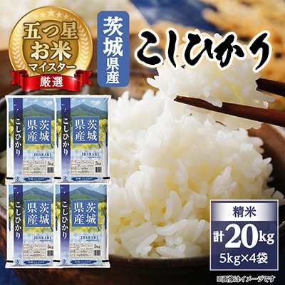 【令和7年産】 こしひかり 20kg 精米 茨城県産 お米 マイスター厳選