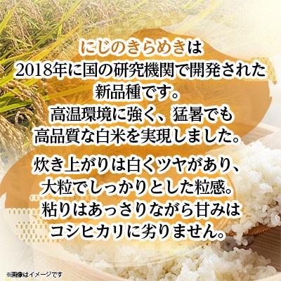 【令和7年産】にじのきらめき 5kg 精米 茨城県産 お米 マイスター厳選