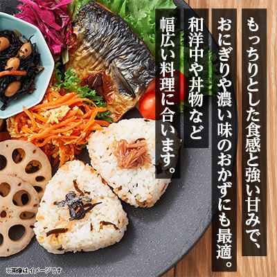 【令和7年産】にじのきらめき 5kg 精米 茨城県産 お米 マイスター厳選