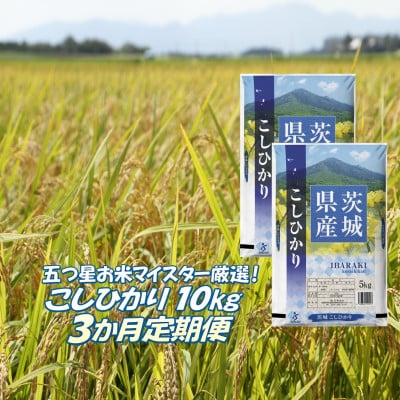 【毎月定期便】こしひかり 10kg 精米 茨城県産 お米 マイスター厳選全3回