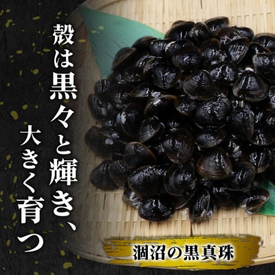 ひぬまやまとしじみ(冷凍砂抜き)1.5kg