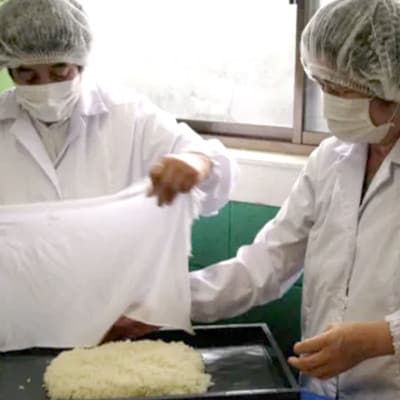 のし餅・たがね餅セット(合計約1,550g)