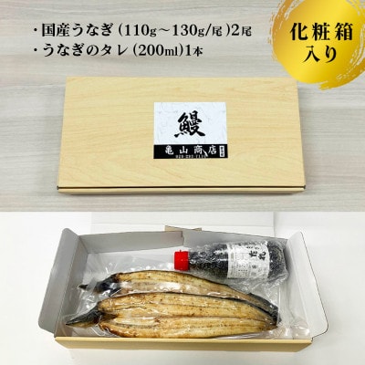 国産有頭うなぎ(白焼き)2尾入り