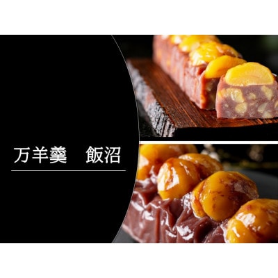 万羊羹飯沼 500g
