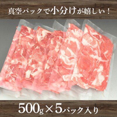 茨城県産浅倉ポーク切り落とし2.5kg(500g×5袋・真空パック)