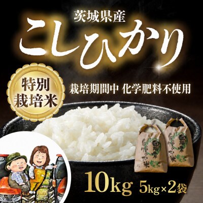 特別栽培米 こしひかり 10kg(5kg×2袋)精米 茨城県産