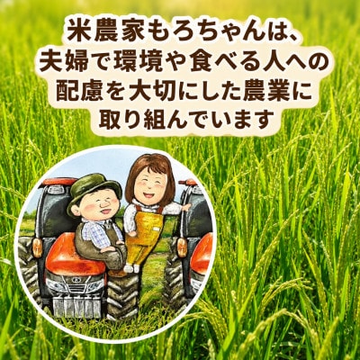 【さとふる限定】にじのきらめき 10kg(5kg×2袋)精米 令和8年産 新米