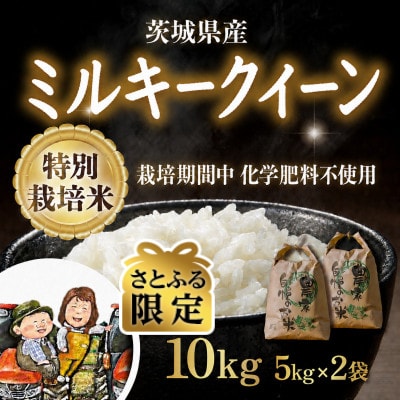 【さとふる限定】特別栽培米ミルキークイーン 10kg(5kg×2袋)精米 令和8年産