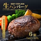 生ハンバーグ120g×6個 常陸牛 100%