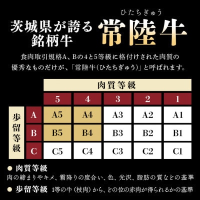 煮込みハンバーグ 200g×6袋