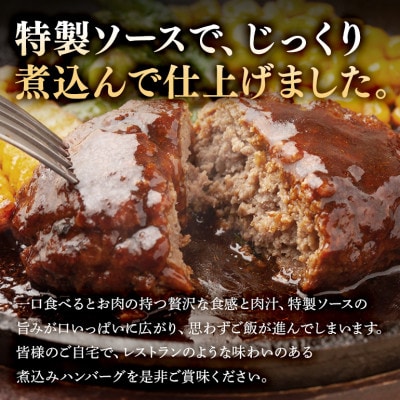 煮込みハンバーグ 200g×6袋