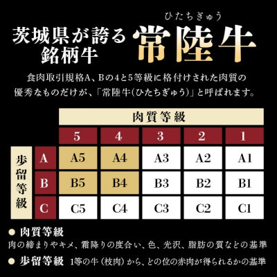 とろけるビーフシチュー 約1kg(180g×6袋)