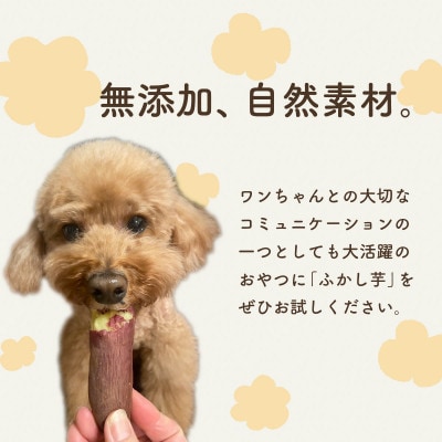 ペット用蒸かし芋4kg(紅はるか)ペットのおやつ