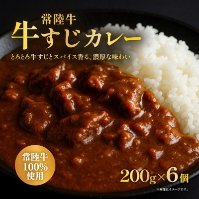 牛すじカレー　200g×6個　茨城県ブランド牛(常陸牛)