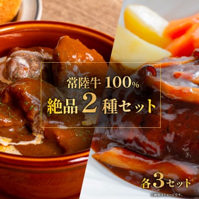常陸牛絶品グルメ2種セット(ハンバーグ・ビーフシチュー)