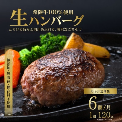 【毎月定期便】生ハンバーグ120g×6個 常陸牛100%【6ヶ月連続お届け】全6回