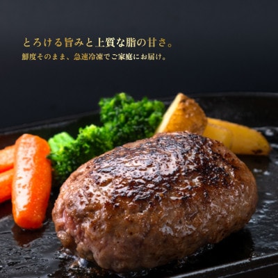 【毎月定期便】生ハンバーグ120g×6個 常陸牛100%【6ヶ月連続お届け】全6回
