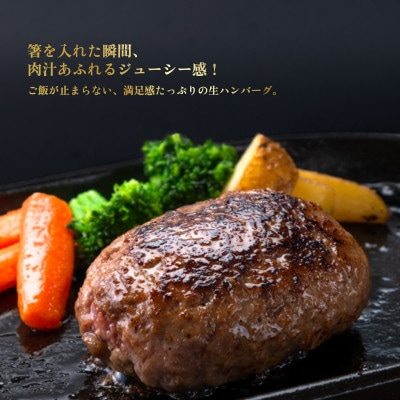 【毎月定期便】生ハンバーグ120g×6個 常陸牛100%【12ヶ月連続お届け】全12回