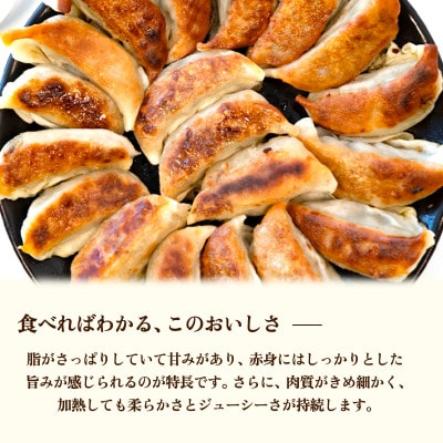 冷凍餃子　20個x4袋　(80個)