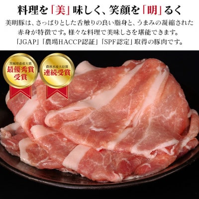 美明豚 ロース薄切り 1.1kg