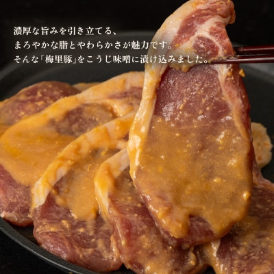 冷凍こうじ味噌漬け(梅里豚)約100g×6パック