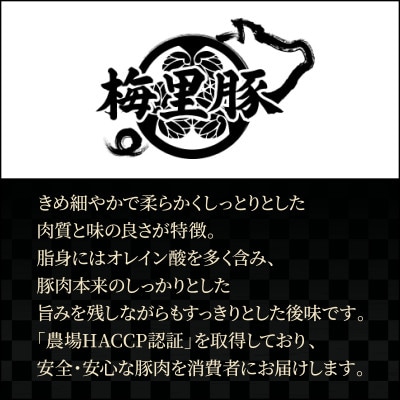 【梅里豚使用!】特製ロースハム 1kg