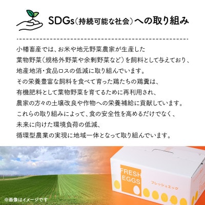平飼い やさしい ひたち野 穂の香卵 50個