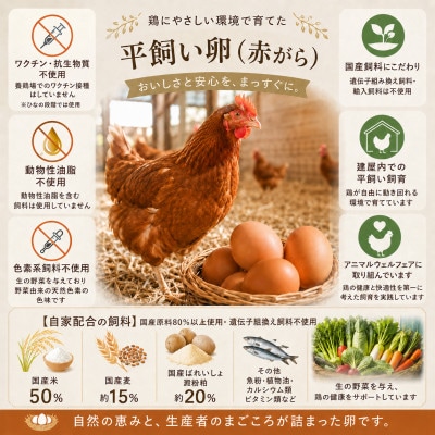 平飼い やさしい ひたち野 穂の香卵 30個
