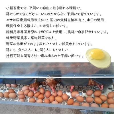 【毎月定期便】平飼い やさしい ひたち野 穂の香卵【毎月30個】全3回