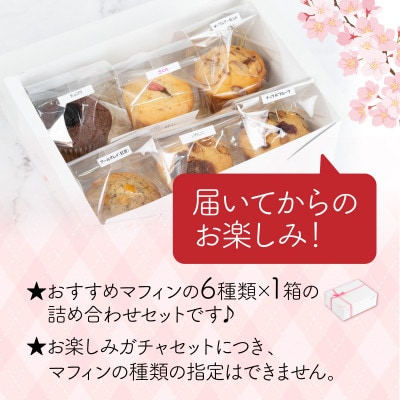 サクラマフィン マフィン食べ比べガチャ6個入り