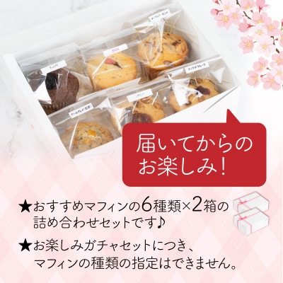 サクラマフィン マフィン食べ比べガチャ12個入り