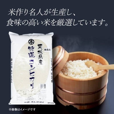 【令和7年産】 茨城県産 こしひかり 無洗米 10kg (5kg×2袋)