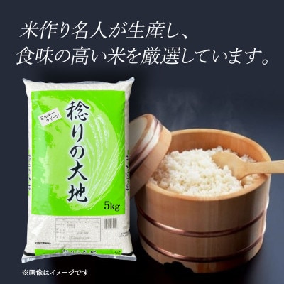 【令和7年産】茨城県産 ミルキークイーン  無洗米 10kg (5kg×2袋)