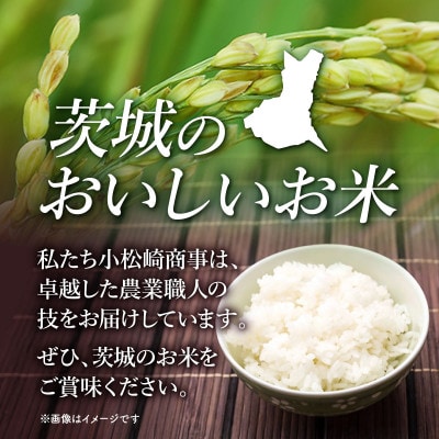 【令和7年産】茨城県産 ミルキークイーン  無洗米 10kg (5kg×2袋)
