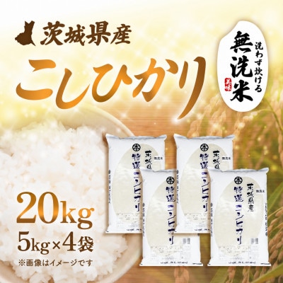 【令和8年産】茨城県産 こしひかり 無洗米 20kg (5kg×4袋)