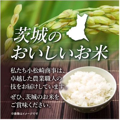 【令和7年産】茨城県産 こしひかり 無洗米 20kg (5kg×4袋)