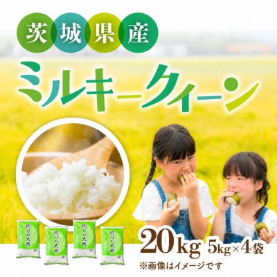 【令和8年産】茨城県産 ミルキークイーン　精米 20kg (5kg×4袋)