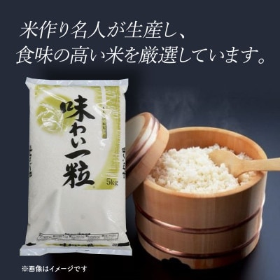 【令和7年産】茨城県産  にじのきらめき 精米 20kg (5kg×4袋)