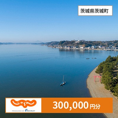 【じゃらんふるさと納税クーポン】 茨城県茨城町でつかえる300,000円 クーポン