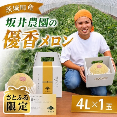 【さとふる限定】優香メロン 4L × 1玉 先行予約 2027年5月上旬以降発送予定