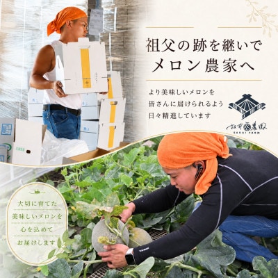 【さとふる限定】優香メロン 4L × 1玉 先行予約 2027年5月上旬以降発送予定