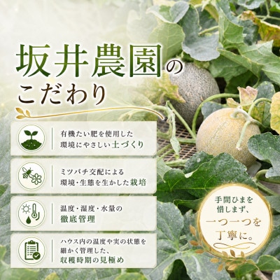 【さとふる限定】 優香メロン 4L × 2玉 先行予約 2027年5月上旬以降発送