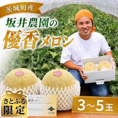 【さとふる限定】優香メロン 3～5玉 先行予約 2027年5月上旬以降発送予定