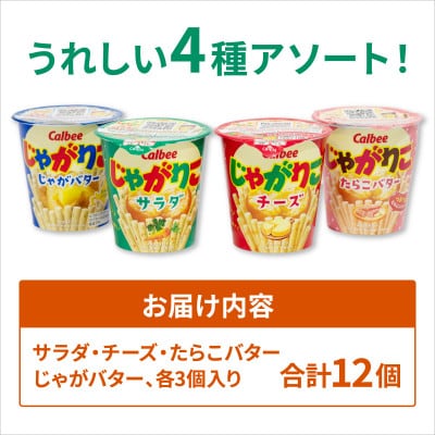 じゃがりこ 4種食べ比べ サラダ・チーズ・たらこバター・じゃがバター 12個(各種3個入) カルビー