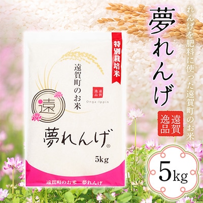 特別栽培米　夢れんげ　5kg