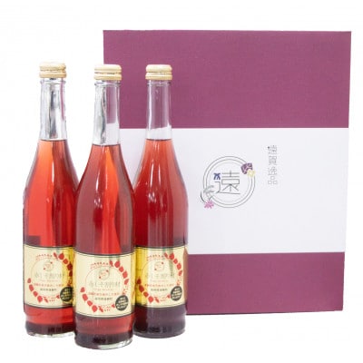 遠賀特産 赤しそ割り材 3本セット