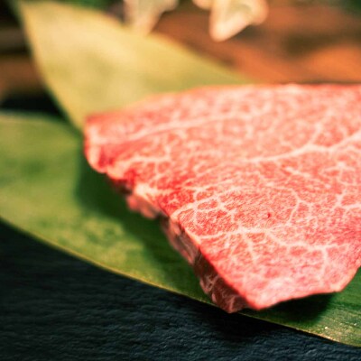 博多和牛 ヒレステーキ 400g(遠賀町)