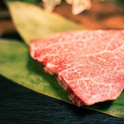 博多和牛 ヒレステーキ 600g(遠賀町)