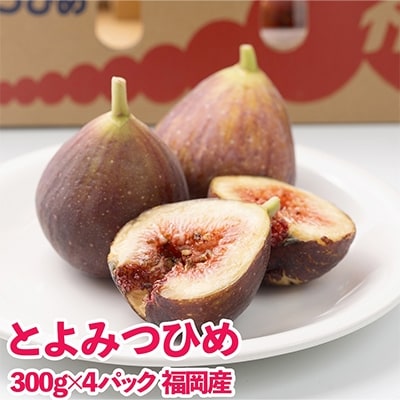 福岡産ブランドいちじく「とよみつひめ」約300g×4パック(遠賀町)