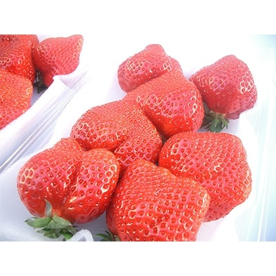 (宅コン)milk様①　オーダー Global Gmarket Mobile